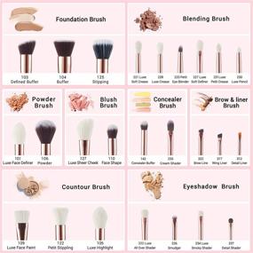 img 3 attached to Jessup Brand 25pcs Makeup Brush Set - Professional Beauty Cosmetics Kit for Foundation, Blush, Eyelashes, Lipstick - Natural-Synthetic Hair Brushes (Pearl White/Rose Gold)