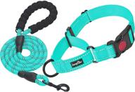 haapaw martingale release reflective training logo