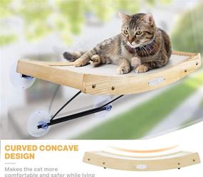 img 3 attached to Pecute Cat Window Perch: 2-in-1 Sisal Cat Scratcher & 🐱 Hammock with Heavy Duty Suction Cups - Supports up to 30lbs