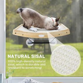 img 2 attached to Pecute Cat Window Perch: 2-in-1 Sisal Cat Scratcher & 🐱 Hammock with Heavy Duty Suction Cups - Supports up to 30lbs