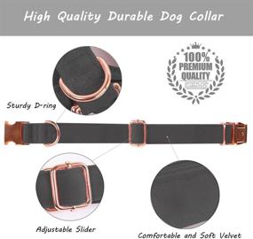 img 2 attached to 🐾 Barkless Dog Collar and Leash Set: Adjustable for Small, Medium & Large Dogs with Velvet Alloy Steel Snap Buckle