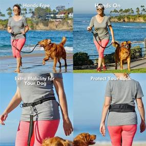 img 1 attached to 🐾 Pikaon Hands-Free Dog Leash for Running, Jogging, Walking - Comfortable Back Support Pad, Reflective Stitches & Dual Handle