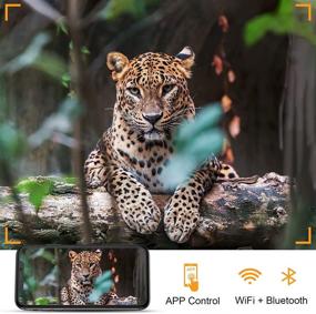 img 3 attached to 📷 Wireless Trail Camera, TOPVISION 4K Lite 24MP Bluetooth Game Camera, 0.2s Trigger Speed Hunting Camera with Night Vision Motion Detection and IP66 Waterproof for Outdoor Wildlife 120° Monitoring