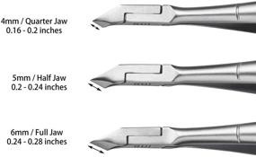 img 1 attached to 🔪 Прецизионные ножницы для кутикулы из хирургической нержавеющей стали - профессиональные кусачки Rui Smiths с французской рукояткой, двойной пружиной, квартальным челюстью 4 мм.