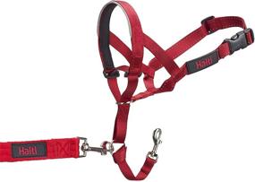 img 2 attached to Company Animals Headcollar Adjustable Training Dogs for Training & Behavior Aids