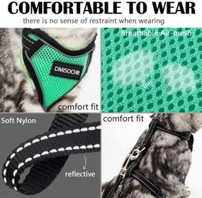 img 2 attached to 🐱 Escape Proof Cat Harness and Leash Set - DMISOCHR Safe Vest-style Cat Harness for Outdoor Walking - Adjustable Reflective Soft Mesh Breathable Body Harness - Easy Control for Cats of All Sizes, Small to Large