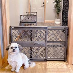 img 4 attached to 🐾 MYPET North States Paws 40" Portable Pet Gate: Easy Expansion & Tool-Free Locking. Hassle-Free Pressure Mount. Fits 26"- 40" Wide.