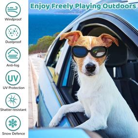 img 2 attached to 🐾 Pawaboo Dog Sunglasses - Small Dog Goggles with Adjustable Band for Puppy and Cat, Waterproof Windproof Snowproof Cool Glasses