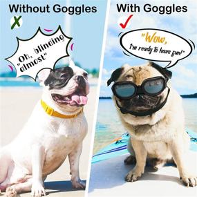 img 1 attached to 🐾 Pawaboo Dog Sunglasses - Small Dog Goggles with Adjustable Band for Puppy and Cat, Waterproof Windproof Snowproof Cool Glasses