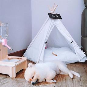 img 3 attached to 🏠 Portable White Pet Cat Dog Teepee Tent House Bed Set with Cushion and Blackboard, Removable & Washable, Creative-Idea Kitten Puppy Decoration, 60x50x50cm