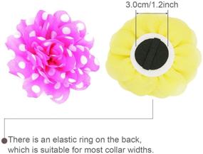 img 2 attached to 🌸 PRUNS Dog Flowers Collar: Stylish Pet Charms for Cat and Puppy Accessories - Enhance Grooming with Bowtie Decoration