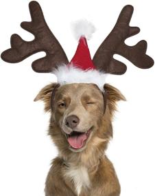 img 4 attached to 🦌 Christmas Costume Headwear for Dogs and Cats - BWOGUE Elk Reindeer Antler Headband with Santa Hat, Pet Accessories