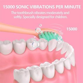 img 3 attached to 🪥 NELL&WELL Kids Sonic Electric Toothbrush: 3 Soft Brush Heads, IPX5 Waterproof, BPA Free, Battery Powered (Pink)