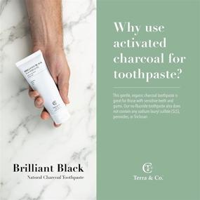 img 1 attached to Terra & Co. Brilliant Black Toothpaste: Natural 2oz (3ct) with 🌿 Activated Charcoal for Organic Teeth Whitening - Vegan, Cruelty-Free Luxury Dental Care