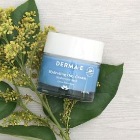 img 1 attached to 🌿 DERMA-E Hydrating Day Cream: 2 Ounce Standart Size with Hyaluronic Acid