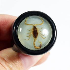 img 3 attached to 🌟 Оптимизированный SEO: Настоящее золотое кольцо с черной вставкой в форме скорпиона для ювелирных изделий для мальчиков