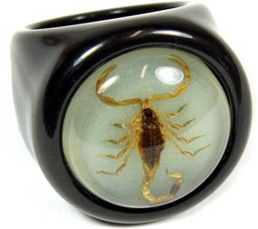 img 4 attached to 🌟 Оптимизированный SEO: Настоящее золотое кольцо с черной вставкой в форме скорпиона для ювелирных изделий для мальчиков