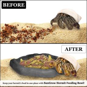 img 2 attached to SunGrow Small Hermit Crab Feeding Bowl, 5.5” x 🐚 5” x 1”, Charcoal Color, Pack of 1 - Improved SEO