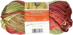 img 2 attached to 🧶 Bernat 161129-29222 Softee Chunky Ombre Yarn - Summerset: Vibrant and Soft Yarn for All Your Summer Knitting Projects