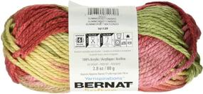 img 3 attached to 🧶 Bernat 161129-29222 Softee Chunky Ombre Yarn - Summerset: Vibrant and Soft Yarn for All Your Summer Knitting Projects