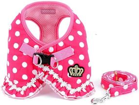 img 4 attached to SMALLLEE_LUCKY_STORE Polka Small Harness Padded Cats