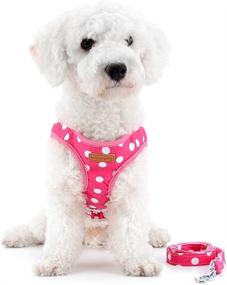 img 2 attached to SMALLLEE_LUCKY_STORE Polka Small Harness Padded Cats