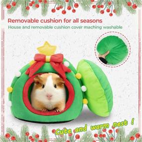 img 1 attached to YUEPET Christmas Washable Accessories Chinchilla