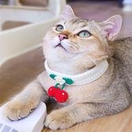 cute hand knitted cat collar with cherry 🐱 bandana costume - perfect accessory for small dogs and cats! logo