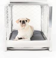 🐶 diggs revol dog crate: the ultimate collapsible, portable, and travel-friendly dog kennel for small and medium dogs and puppies logo