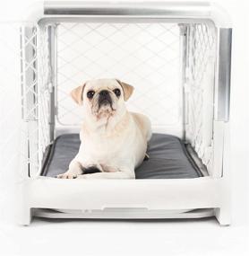 img 4 attached to 🐶 Diggs Revol Dog Crate: The Ultimate Collapsible, Portable, and Travel-Friendly Dog Kennel for Small and Medium Dogs and Puppies