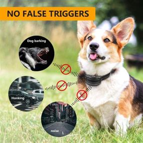 img 3 attached to 🐶 Paipaitek Dog Bark Collar: Humane No Shock Anti Bark Collar with Adjustable Sensitivity & LED Display - Ideal for Small, Medium & Large Dogs - Rechargeable Barking Control Training Collar