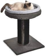 🐱 premium cat scratching post by amazon basics logo