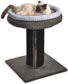 img 4 attached to 🐱 Premium Cat Scratching Post by Amazon Basics