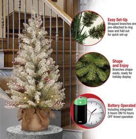 img 1 attached to 🎄 3-Foot National Tree Company Pre-Lit Artificial Mini Christmas Tree, Green Dunhill Fir with White Lights, Pine Cones, Berry Clusters, Frosted Branches, and Cloth Bag Base