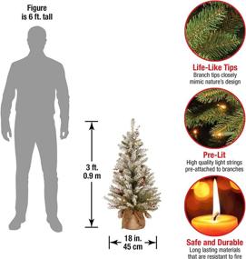 img 2 attached to 🎄 3-Foot National Tree Company Pre-Lit Artificial Mini Christmas Tree, Green Dunhill Fir with White Lights, Pine Cones, Berry Clusters, Frosted Branches, and Cloth Bag Base