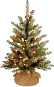 img 4 attached to 🎄 3-Foot National Tree Company Pre-Lit Artificial Mini Christmas Tree, Green Dunhill Fir with White Lights, Pine Cones, Berry Clusters, Frosted Branches, and Cloth Bag Base