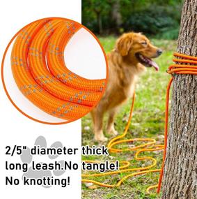 img 2 attached to 🐾 Reflective Training Long Dog Leash - Nylon Rope Lead for Walking, Hunting, Camping, Running - 30ft, 50ft Heavy Duty Check Cord - Easy Control for Small, Medium, Large Dogs