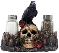 🦇 raven perched on human skull salt and pepper shaker set with display stand - perfect for halloween decor, medieval & gothic kitchen table decor, and spooky fantasy gifts logo