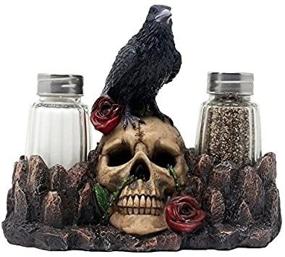 img 1 attached to 🦇 Raven Perched on Human Skull Salt and Pepper Shaker Set with Display Stand - Perfect for Halloween Decor, Medieval & Gothic Kitchen Table Decor, and Spooky Fantasy Gifts