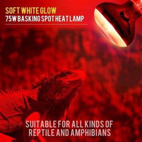 img 2 attached to 2 Pack Reptile Red Heat Lamp 75W UVA Spot Lamp for Effective Pet Heating - Infrared Light for Reptiles and Amphibians