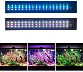 img 3 attached to 🐠 Enhance Your Aquarium with the MQ 13W RGB LED Fish Tank Light - 20-inch with Extendable Brackets, Remote Control, and 24/7 Automated Planted Plus Features