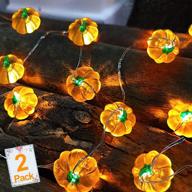 🎃 fall harvest pumpkin lights decor 2-pack - 20ft warm white led thanksgiving garlands with 3d pumpkin design, battery powered indoor home decorations for halloween, thanksgiving, and pumpkin harvest celebrations логотип