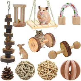 img 4 attached to 🐹 McFeddy Guinea Pigs, Rabbits, Hamsters Chew Toys: 10 Pcs Wooden Small Animal Cage Accessories - Organic Apple Wood Activity Toys, Exercise Wheel, Teeth Molars, Pet Ball - Suitable for Mouse, Chinchillas, Bird, and More