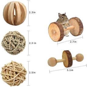 img 2 attached to 🐹 McFeddy Guinea Pigs, Rabbits, Hamsters Chew Toys: 10 Pcs Wooden Small Animal Cage Accessories - Organic Apple Wood Activity Toys, Exercise Wheel, Teeth Molars, Pet Ball - Suitable for Mouse, Chinchillas, Bird, and More