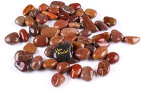 img 4 attached to 🍒 Highly Polished Cherry Red Decorative Rocks for Planters, Vases, Terrariums, Landscaping