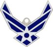 force keychain military collectible veterans logo