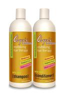 🌿 revitalizing hair therapy set - organic excellence wild mint shampoo and conditioner logo