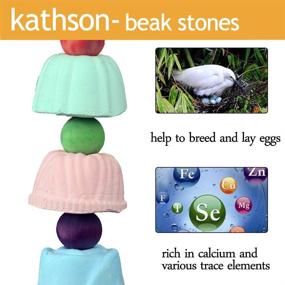 img 2 attached to 🦜 kathson Cuttlebone and Lava Blocks for Parakeet Beak Care – Natural Mineral Chew Toys and Teeth Trimming Stones for Cockatiels, Parrots, Budgies, Conures, and African Gray (2 Pack)