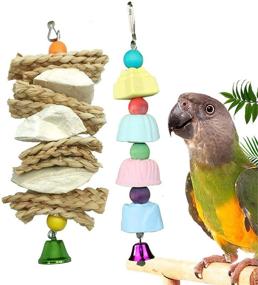 img 4 attached to 🦜 kathson Cuttlebone and Lava Blocks for Parakeet Beak Care – Natural Mineral Chew Toys and Teeth Trimming Stones for Cockatiels, Parrots, Budgies, Conures, and African Gray (2 Pack)