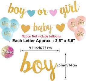 img 2 attached to 👶 Aonor Gender Reveal Party Decorations: Glitter Letters BABY and BOY OR GIRL with Hearts Banner, Tissue Paper Pom Poms Set for Stunning Baby Shower Decorations
